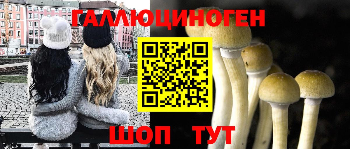 Псилоцибиновые грибы мицелий Слободской