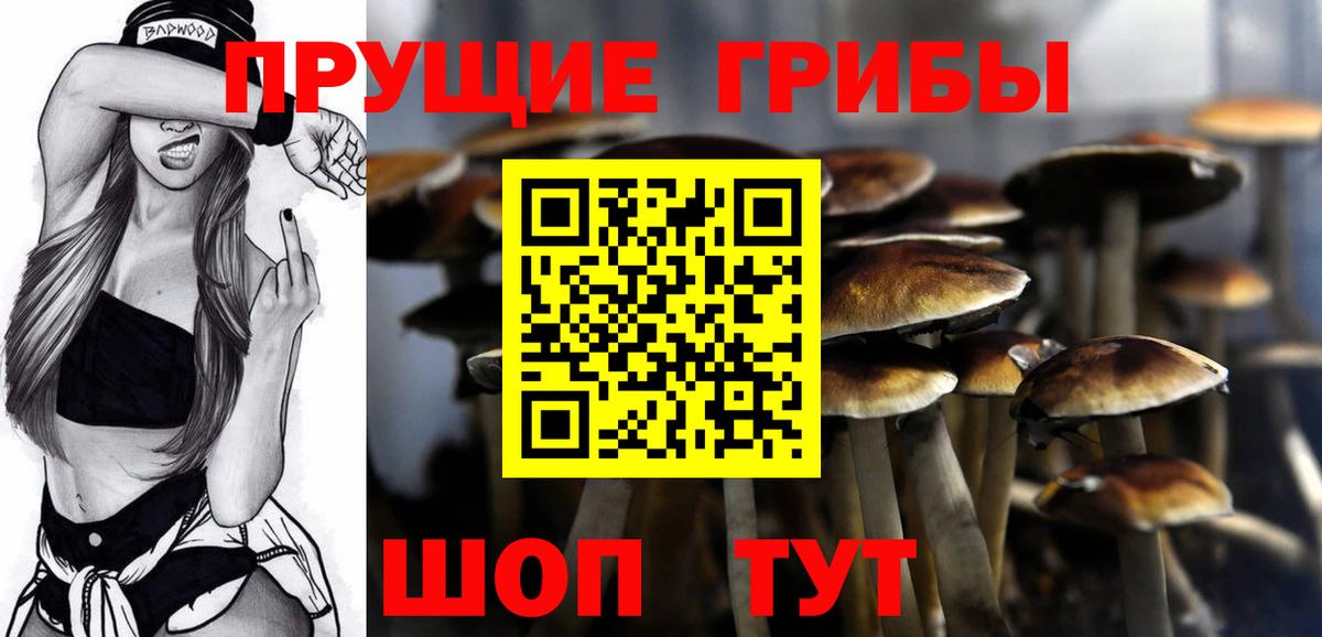 Галлюциногенные грибы Magic Shrooms  Галлюциногенные грибы MAGIC MUSHROOMS  Вход с VPN  Слободской 